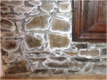 salpêtre mur intérieur : Mur-Assechement